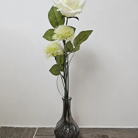 Haus Ilse 9 * זנקט אנדריאסברג