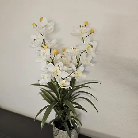 Haus Ilse 9 Apartment
